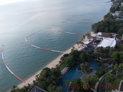 Studio Condo For Sale In Wongamat-Sky Beach