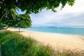 1 Bed Condo For Sale In Wongamat - Zire